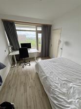 Apartment for rent 850 euro Hendrik Tollensstraat, Delft