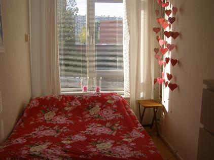 Room for rent 490 euro Kochstraat, Groningen