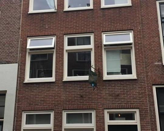 Kamer te huur in de Hogewoerd in Leiden