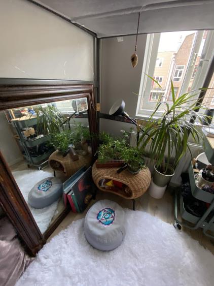 Kamer te huur 1050 euro Ruyschstraat, Amsterdam