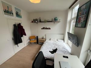 Room for rent 525 euro Loofdakstraat, Rotterdam