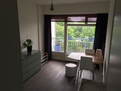Room for rent 600 euro Burgemeester Hogguerstraat, Amsterdam