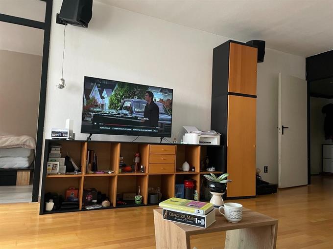 Kamer in Den Haag, Gedempte Gracht op Kamernet.nl: Korte termijn huur appartement in Den Haag centrum