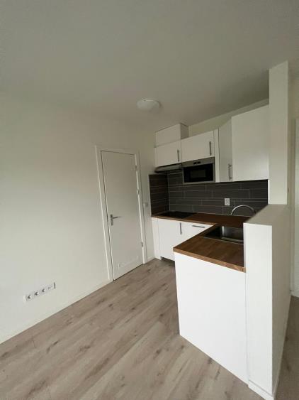 Apartment for rent 1400 euro Rijswijkseweg, Den Haag