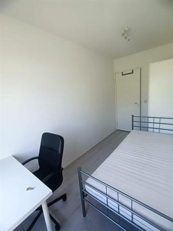 Kamer in Rotterdam, Heymansstraat op Kamernet.nl: Heymansstraat *, Rotterdam 