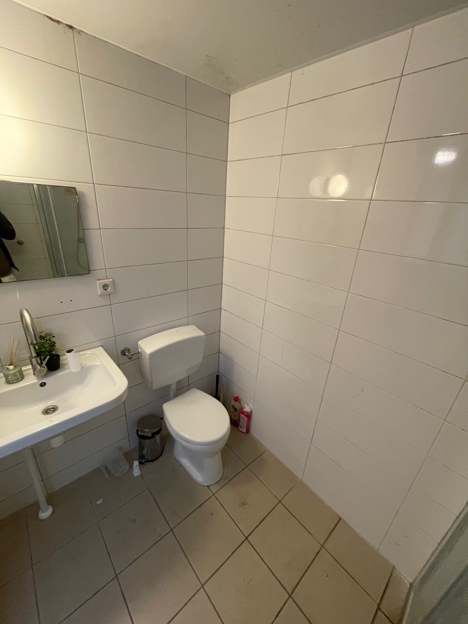 Zuiderpark, Groningen foto 5