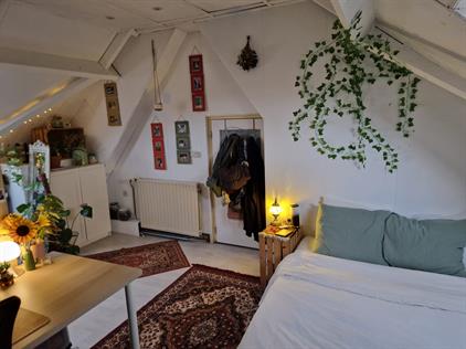 Kamer te huur 715 euro Semmelinkstraat, Nijmegen