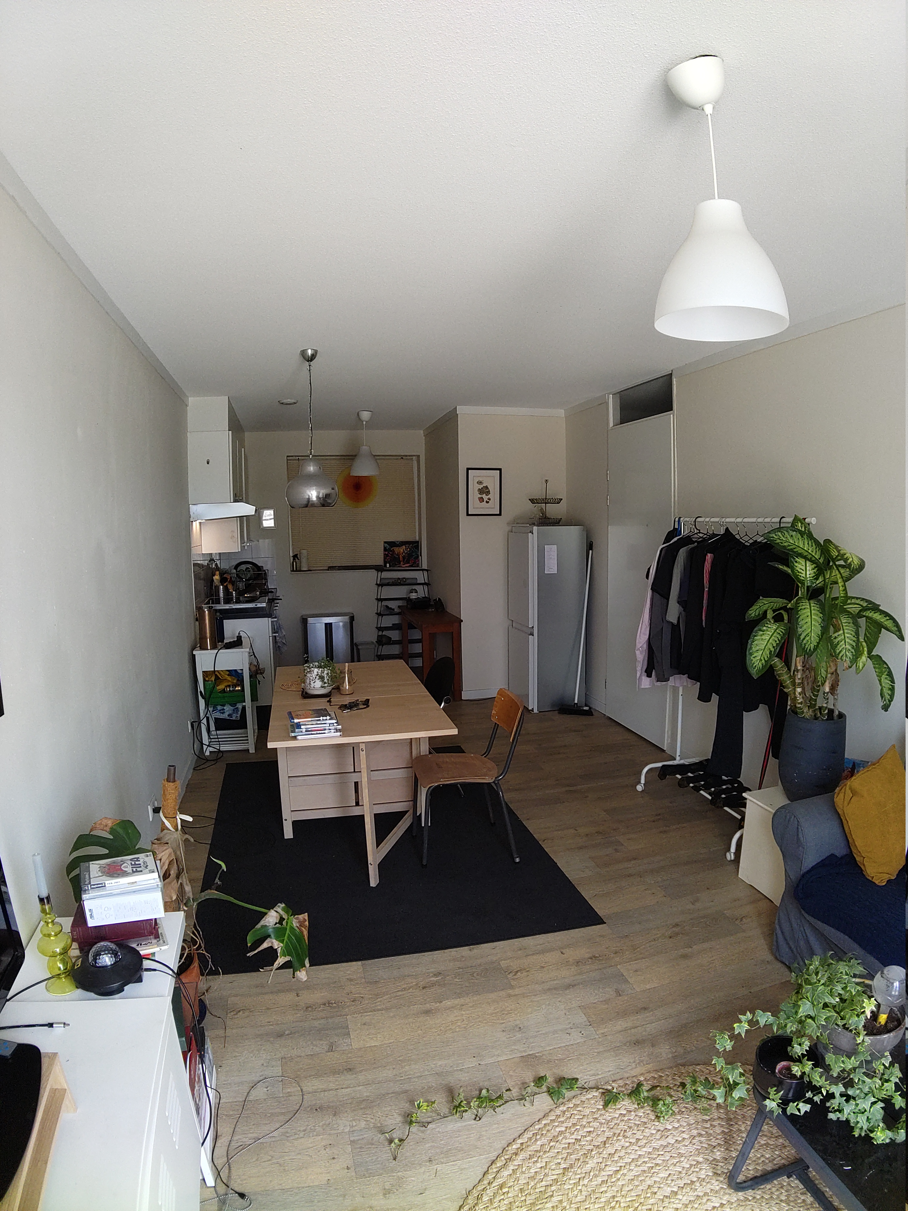 apartments for rent on Europaplein