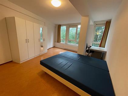 Room for rent 550 euro Stadsbrink, Wageningen