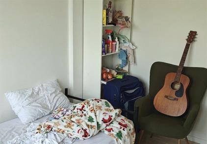 Room for rent 550 euro Aan 't Verlaat, Delft
