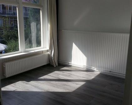 Room for rent 595 euro Tapuitstraat, Rotterdam