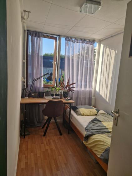 Kamer te huur 285 euro Loevesteinlaan, Arnhem