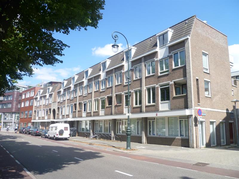 studios for rent on Wittevrouwensingel