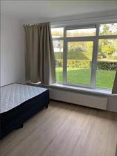 Room for rent 800 euro Menno ter Braakstraat, Rotterdam