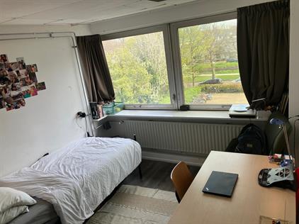 Kamer te huur 700 euro Aan 't Verlaat, Delft
