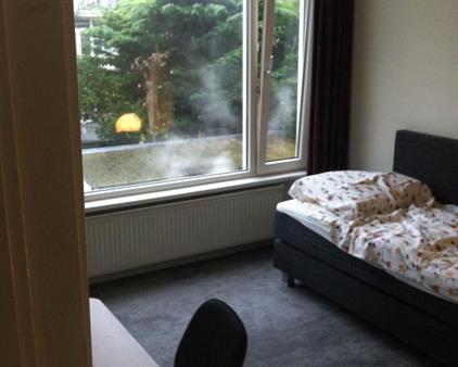 Room for rent 800 euro Esdoornstraat, Den Haag