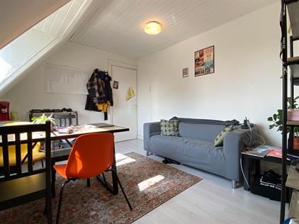 Kamer te huur 597 euro Celebesstraat, Groningen