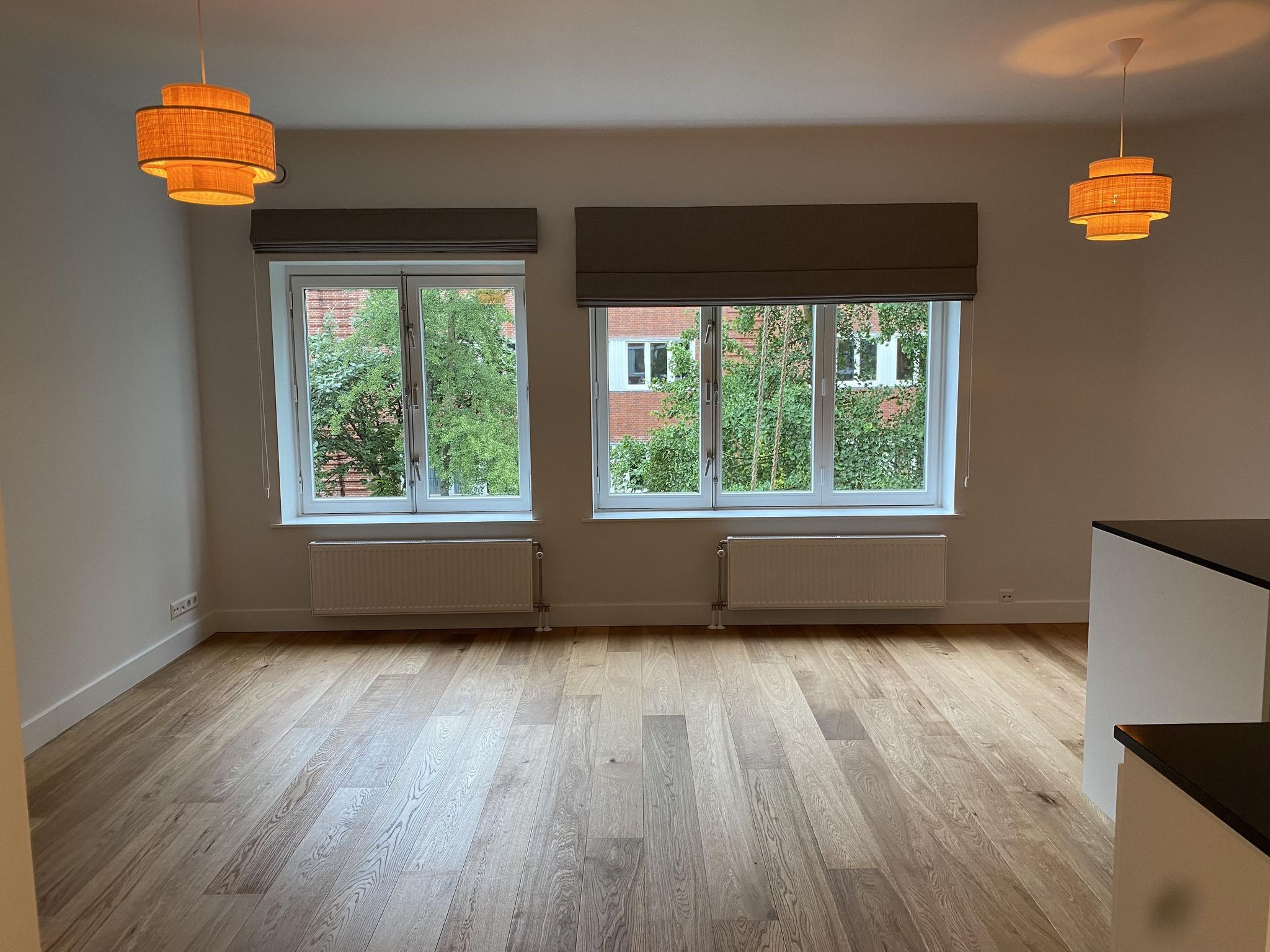 Appartement te huur in Amsterdam – Cornelis Springerstraat – foto 1