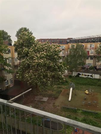 Wohnung bei Mijnsherenlaan In Rotterdam