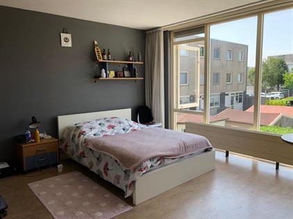 Zimmer zu vermieten 850 Euro Opera, Zaandam