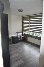 Kamer te huur 600 euro Watermuntstraat, Arnhem