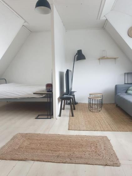 Room for rent 595 euro Zalkerbos, Hoofddorp