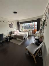 Kamer te huur 315 euro Friesestraatweg, Groningen