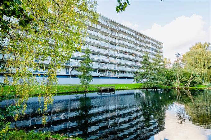 Zimmer bei Condorhorst In Leiden