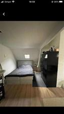 Wohnung zu vermieten 650 Euro Sloetstraat, Arnhem