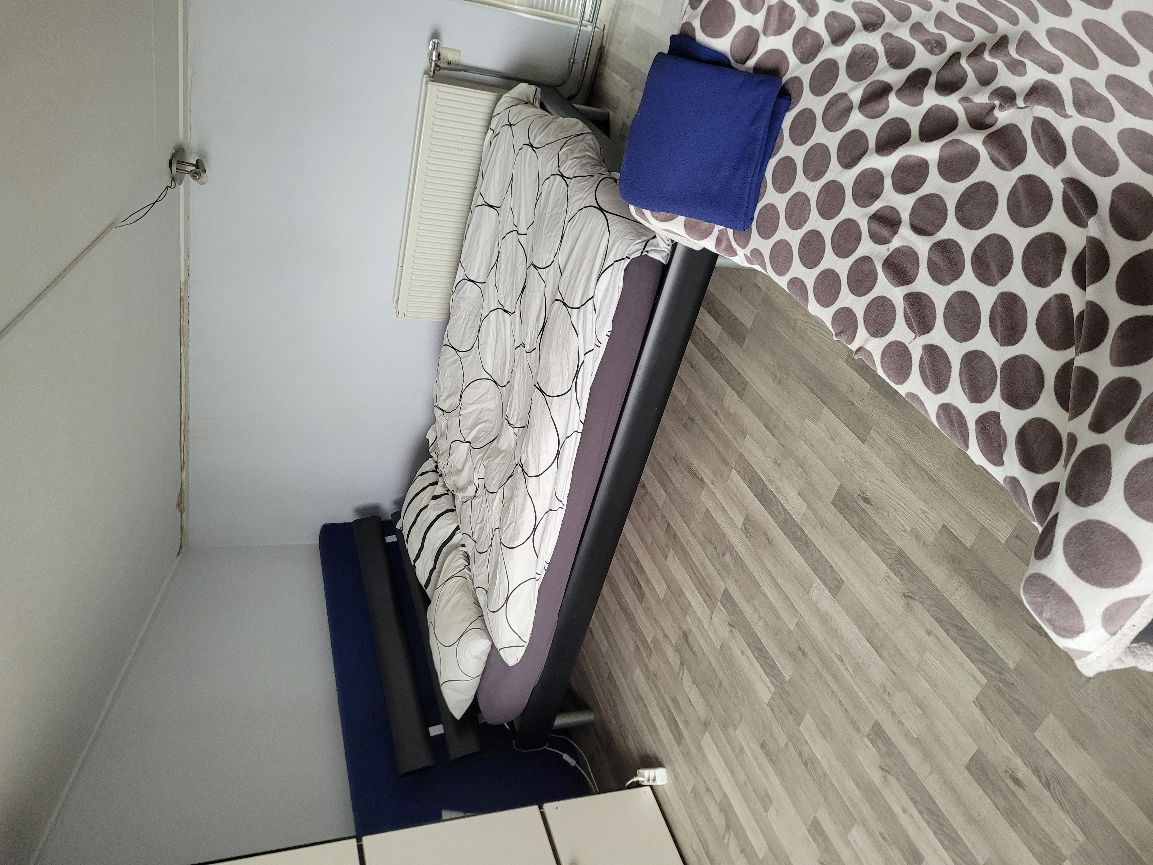 Jakob Israel de Haanstraat