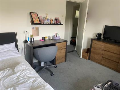 Room for rent 335 euro Nieuweweg, Groesbeek