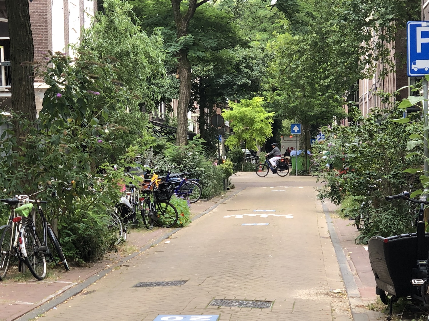Appartement aan Frans Halsstraat, Amsterdam 10