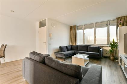 Zimmer zu vermieten 800 Euro Reigersbos, Amsterdam