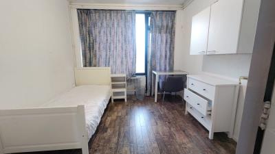 Room for rent 550 euro Bottelroosstraat, Groningen