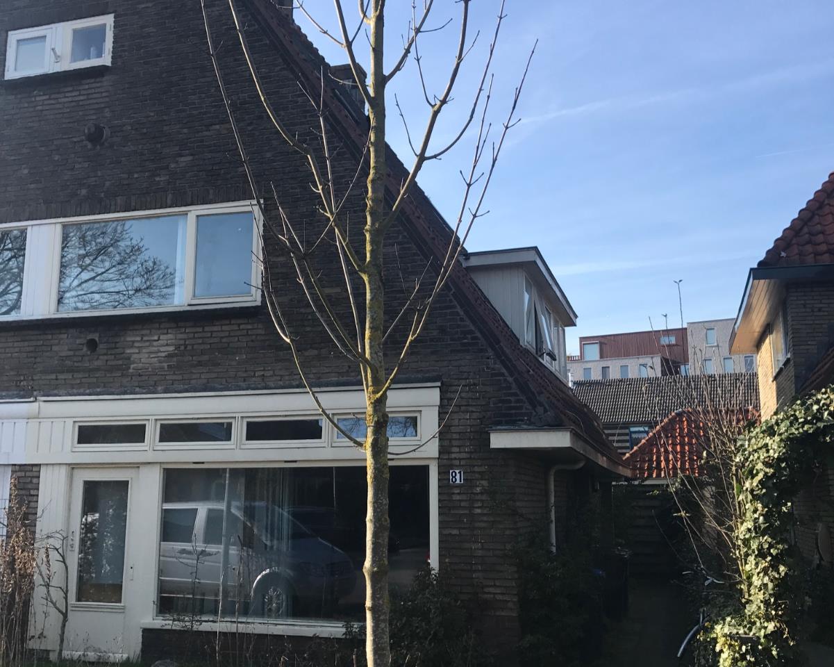 Kamer te huur in de Kometenstraat in Hilversum
