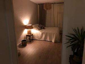 Appartement te huur 1750 euro Borgerstraat, Amsterdam