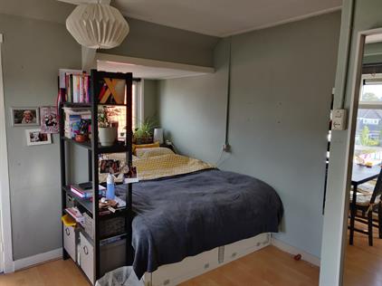 Room for rent 500 euro Lusthoflaan, Leiden