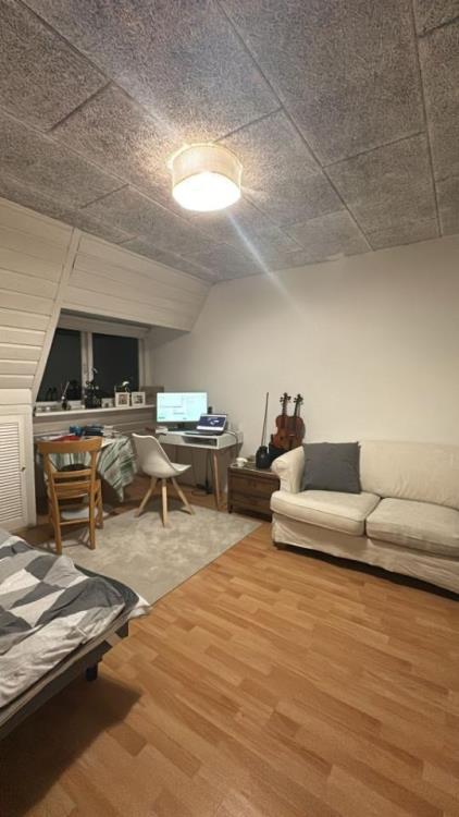 Kamer te huur 1000 euro Amsterdamsestraatweg, Utrecht