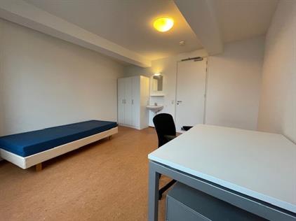 Kamer te huur 465 euro Stadsbrink, Wageningen