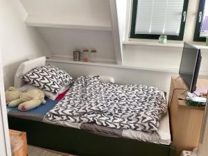 Kamer te huur 800 euro Alleeweg, Enschede