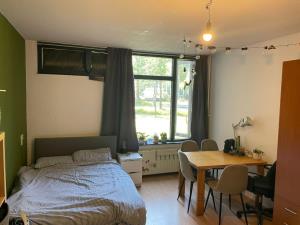 Room for rent 478 euro Wassenaarseweg, Leiden