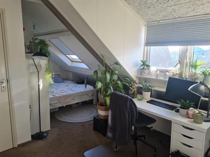 Kamer te huur 330 euro Volksparksingel, Enschede