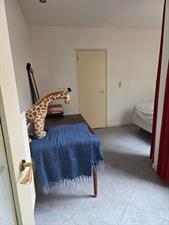 Room for rent 450 euro Raamstraat, Delft