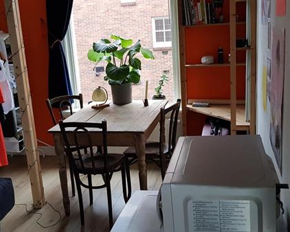 Kamer te huur 500 euro Kraneweg, Groningen