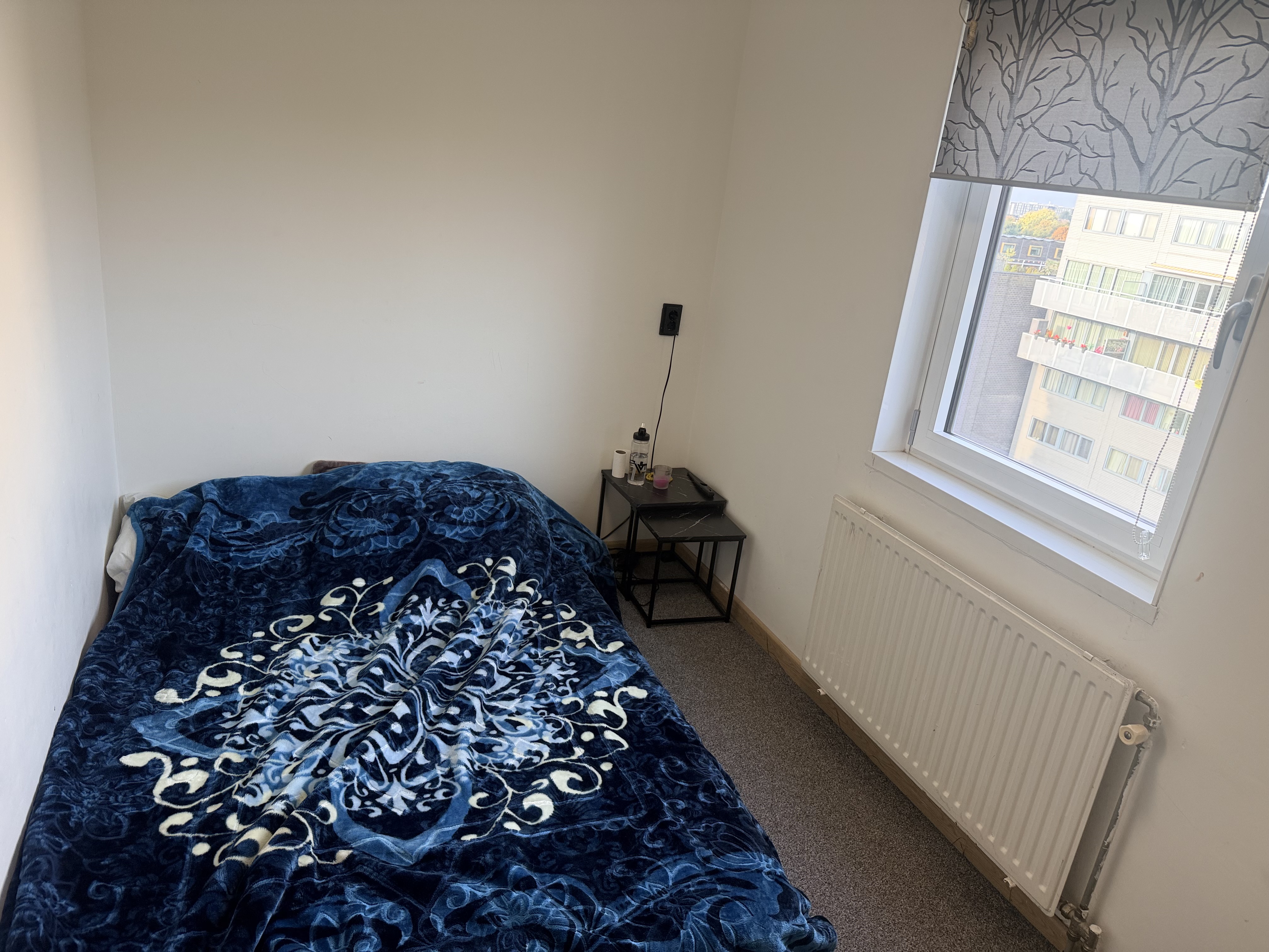 Kamer te huur in Amsterdam – Ladogameerhof – foto 3