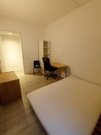 Kamer in Arnhem, Romerselaan op Kamernet.nl: Furnished room for Subrent
