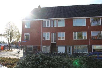 Apartment for rent 500 euro Oosterhamriklaan, Groningen