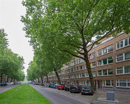 Studio for rent 740 euro Dordtselaan, Rotterdam