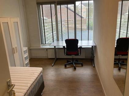 Kamer te huur 550 euro Lenteklokje, Leeuwarden