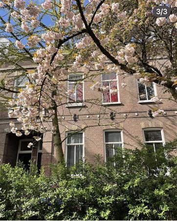Zimmer bei Rouwenhofstraat In Wageningen